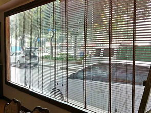 江門(mén)遙控百葉簾供應(yīng)商 升降 防曬 手動(dòng)拉珠 消音 滿滿窗飾