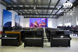 熱烈慶祝卡羅德鋼琴經(jīng)銷商考察交流會(huì)在上海成功舉行 技術(shù)服務(wù)賦能行業(yè)未來