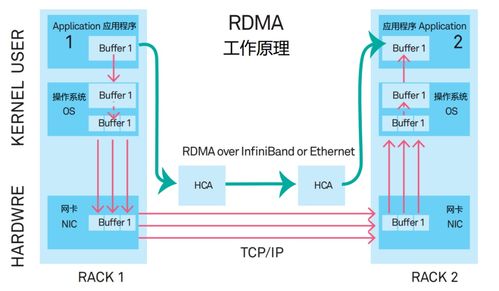 火遍全網的DPU，到底是個啥？連同生物質能資源數據庫信息系統一起看懂